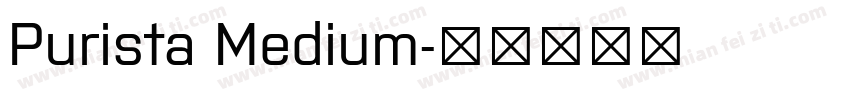 Purista Medium字体转换